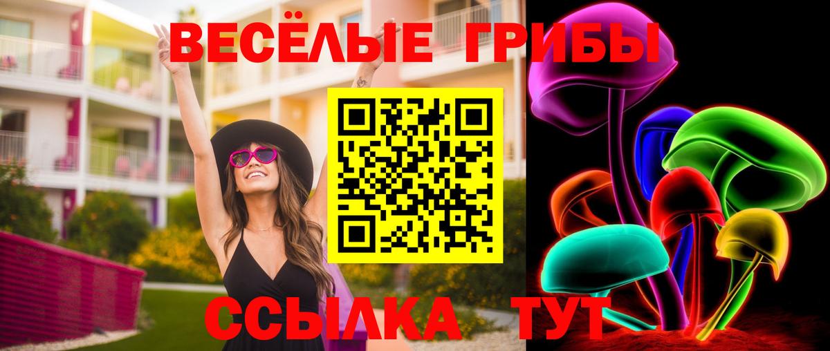 Алейск  Псилоцибиновые грибы Psilocybine cubensis  Вход с VPN  Псилоцибиновые грибы мухоморы 